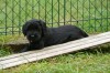 m_wurf_woche_8 (16)